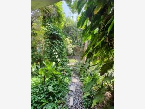 Casa en venta en Chiconcuac, Xochitepec — foto 2 de 15
