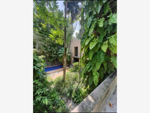 Casa en venta en Chiconcuac, Xochitepec — foto 3 de 15