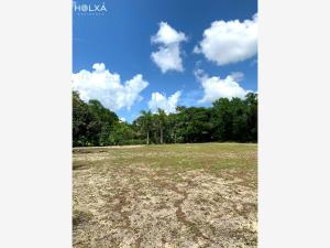 Terreno en venta en Santa Fe Cuajimalpa, Cuajimalpa de Morelos — foto 3 de 19