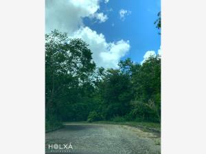 Terreno en venta en Santa Fe Cuajimalpa, Cuajimalpa de Morelos — foto 3 de 16