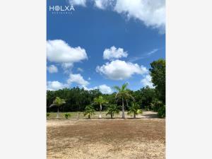 Terreno en venta en Santa Fe Cuajimalpa, Cuajimalpa de Morelos — foto 3 de 22