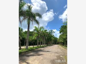 Terreno en venta en Santa Fe Cuajimalpa, Cuajimalpa de Morelos — foto 2 de 26