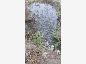 Terreno en venta en Parras de la Fuente Centro, Parras — foto 2 de 2