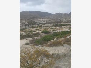 Terreno en venta en Ojo de Agua, Parras — foto 2 de 9