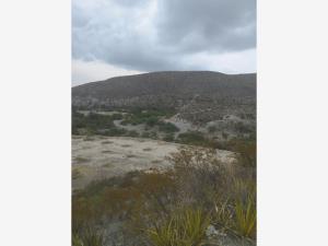 Terreno en venta en Ojo de Agua, Parras — foto 3 de 9