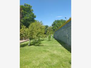 Casa en venta en Las Palmeras, Parras — foto 2 de 11