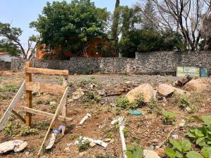 Terreno en venta en Delicias, Cuernavaca — foto 2 de 3