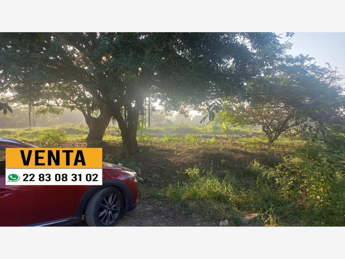 Terreno en venta en Tejeria, Veracruz — foto 1 de 3