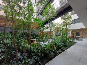 Departamento en renta en Roma Norte, Cuauhtémoc — foto 3 de 22