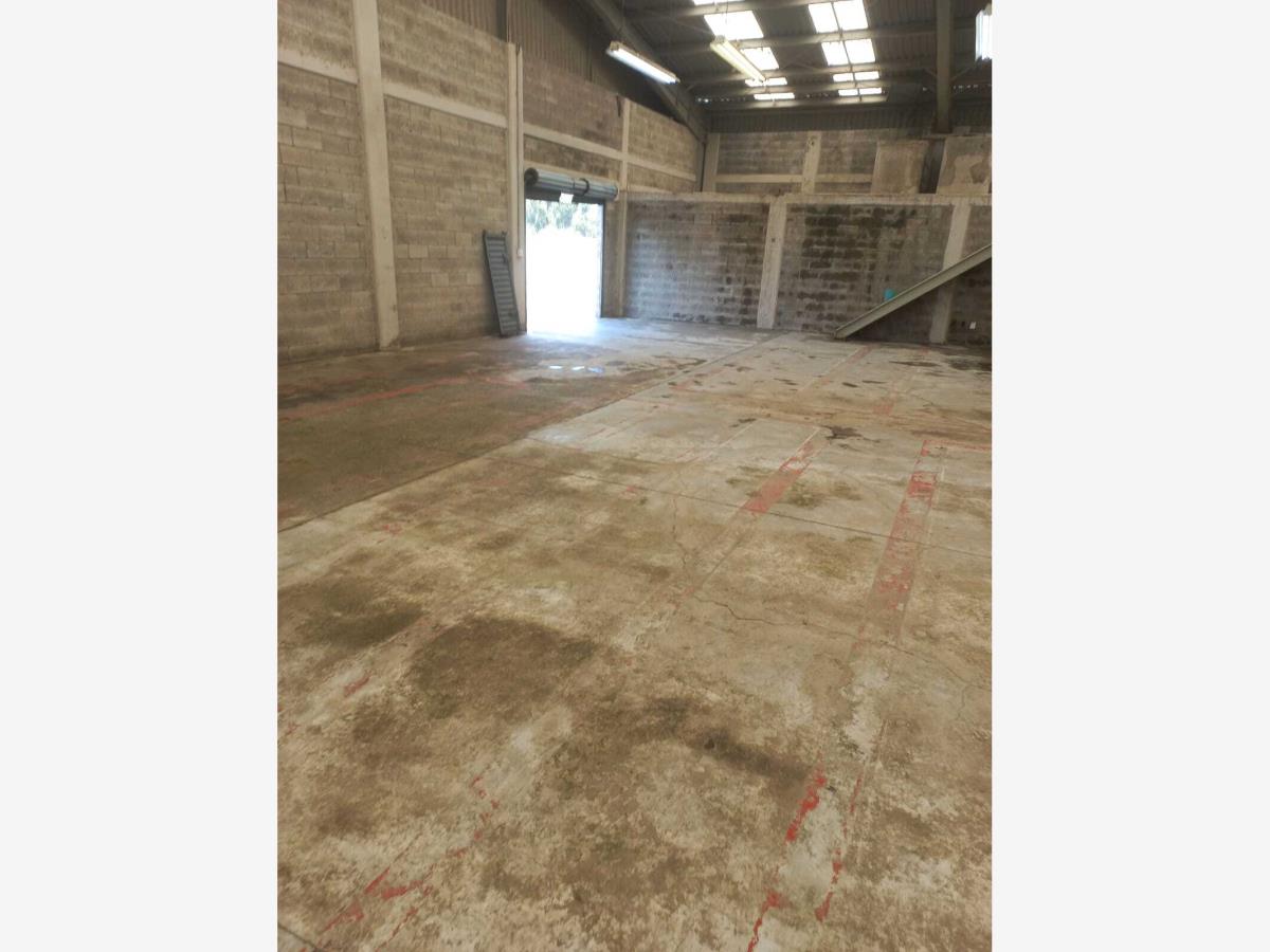Bodega en renta en San Mateo Huexotla, Texcoco — foto 1 de 12