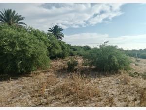 Terreno en venta en La Concha, Torreón — foto 3 de 9