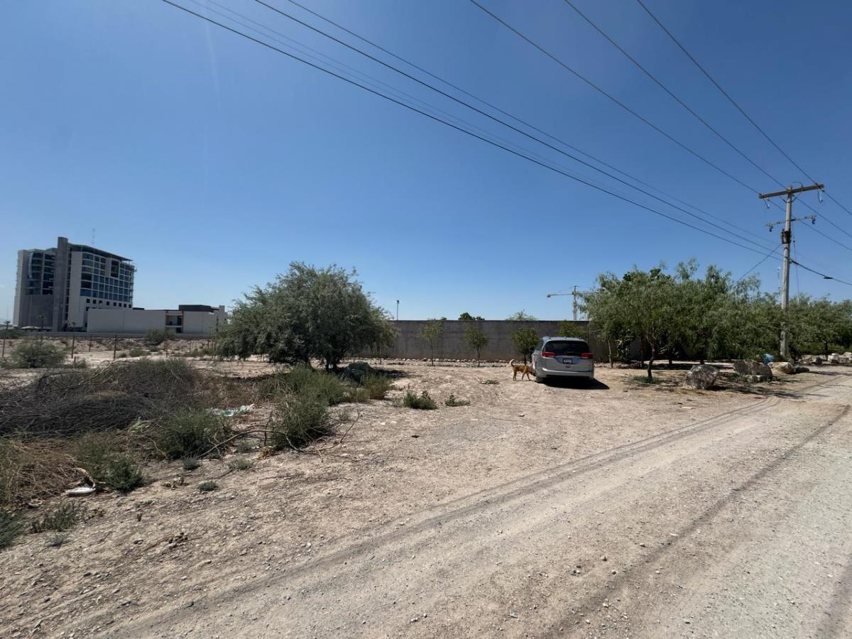 Terreno en Venta en La Union, Torreón, Coahuila de Zaragoza