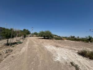 Terreno en venta en La Union, Torreón, Coahuila de Zaragoza
