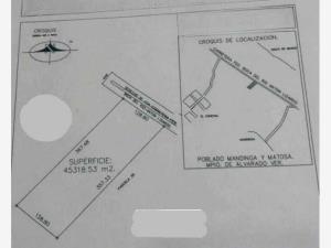 Terreno en venta en Punta Tiburón, Residencial, Marina y Golf, Alvarado — foto 3 de 3