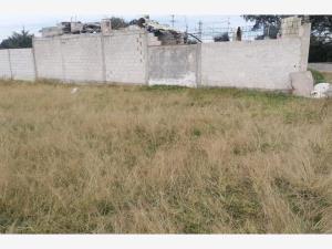 Terreno en venta en Amozoc Centro, Amozoc — foto 3 de 3