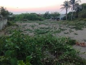 Terreno en venta en Anton Lizardo, Alvarado — foto 2 de 6