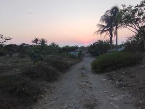Terreno en venta en Anton Lizardo, Alvarado — foto 3 de 6