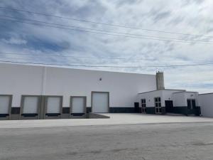 Bodega en venta en Parque Industrial Santa Rita, Gómez Palacio — foto 3 de 10