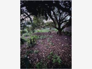 Terreno en venta en Niños Heroes, Pátzcuaro — foto 2 de 4