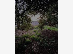 Terreno en venta en Niños Heroes, Pátzcuaro — foto 3 de 4