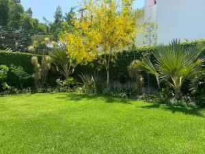 Casa en venta en Lomas de Cocoyoc, Atlatlahucan — foto 2 de 15