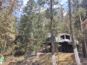 Terreno en venta en Mineral del Monte Centro, Mineral del Monte — foto 3 de 16