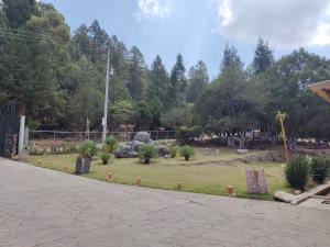 Terreno en venta en Mineral del Monte Centro, Mineral del Monte — foto 3 de 16