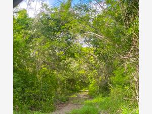 Terreno en venta en Misnébalam, Mérida — foto 2 de 16