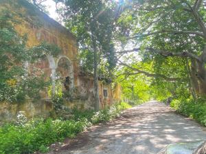 Terreno en venta en Misnébalam, Mérida — foto 3 de 16