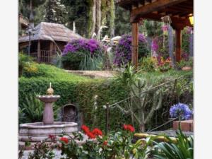 Hotel en venta en Pátzcuaro, Pátzcuaro — foto 2 de 8