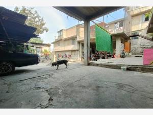 Terreno en venta en Ampliación Fuentes del Pedregal, Tlalpan, Ciudad de México