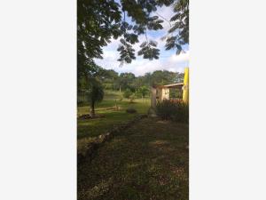 Quinta en venta en Xcucul Sur, Umán — foto 3 de 20