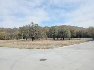 Terreno en venta en Los Robles, Zapopan — foto 2 de 14