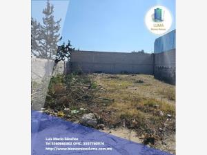 Bodega en venta en Ciudad de los Niños (Rosas Rojas), Tizayuca — foto 3 de 3