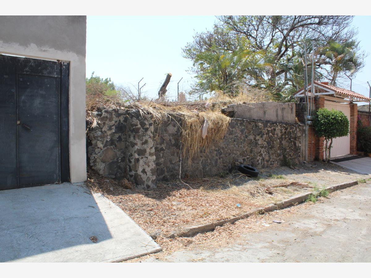 Terreno en venta en Tres de Mayo, Emiliano Zapata — foto 1 de 10