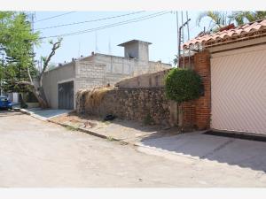 Terreno en venta en Tres de Mayo, Emiliano Zapata — foto 2 de 10