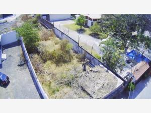 Terreno en venta en Tres de Mayo, Emiliano Zapata — foto 3 de 10