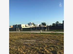 Terreno en venta en San Marcos, Centro — foto 2 de 6