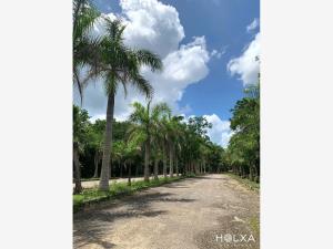 Terreno en venta en Santa Fe Cuajimalpa, Cuajimalpa de Morelos — foto 2 de 19