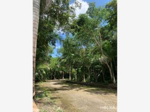 Terreno en venta en Santa Fe Cuajimalpa, Cuajimalpa de Morelos — foto 2 de 21