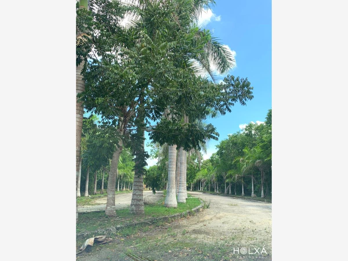 Terreno en venta en Santa Fe Cuajimalpa, Cuajimalpa de Morelos — foto 1 de 21