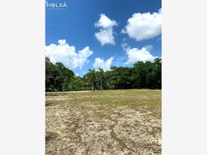 Terreno en venta en Santa Fe Cuajimalpa, Cuajimalpa de Morelos — foto 3 de 21