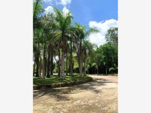 Terreno en venta en Santa Fe Cuajimalpa, Cuajimalpa de Morelos — foto 2 de 20