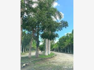 Terreno en venta en Santa Fe Cuajimalpa, Cuajimalpa de Morelos — foto 2 de 24