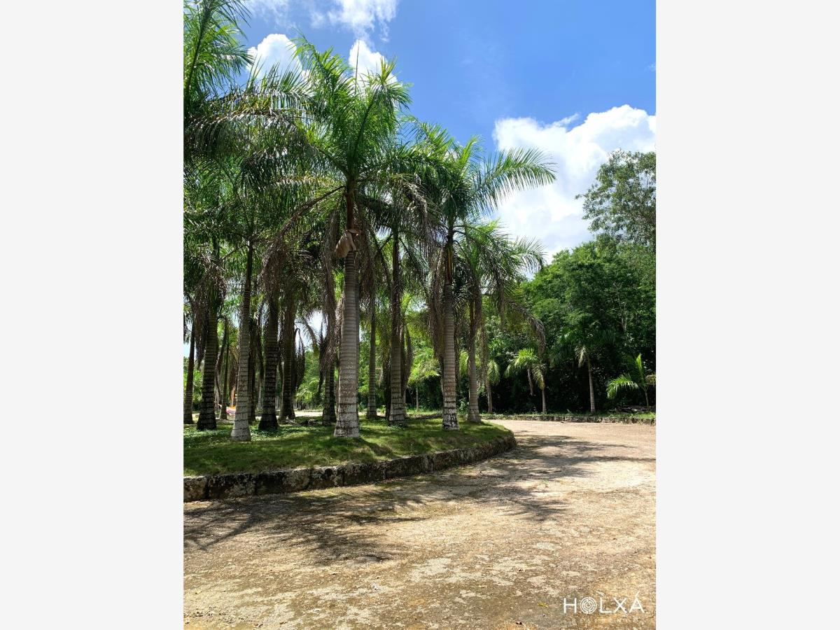 Terreno en venta en Santa Fe Cuajimalpa, Cuajimalpa de Morelos — foto 1 de 22