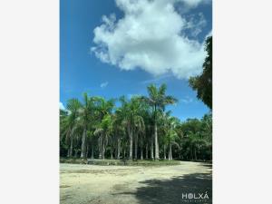 Terreno en venta en Santa Fe Cuajimalpa, Cuajimalpa de Morelos — foto 2 de 22