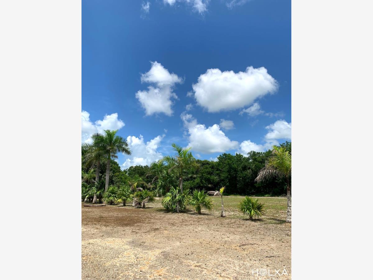 Terreno en venta en Santa Fe Cuajimalpa, Cuajimalpa de Morelos — foto 1 de 22