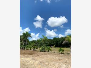 Terreno en venta en Santa Fe Cuajimalpa, Cuajimalpa de Morelos, Ciudad de México