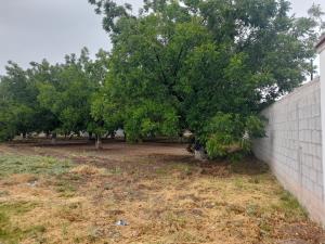 Terreno en venta en Las Trojes, Torreón — foto 2 de 6