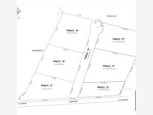 Terreno en venta en Ejido Ana, Torreón — foto 3 de 11